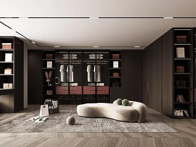 Modern Walk In Closet Interior Design With Dark Cabinets Open Hanging Space And Curved Seating 3d model