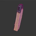 Wood Stone Piece with Burnt End and Natural Grain on Dark Reflective Background
