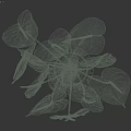 Elegant Decorative Ornament Set With White Anthurium Flowers In Black Ribbed Vase