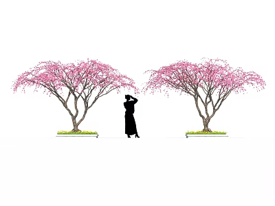 Beautiful Bonsai Trees with Pink Flowers and Silhouette Person Standing Between 3d model