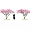 Beautiful Bonsai Trees with Pink Flowers and Silhouette Person Standing Between