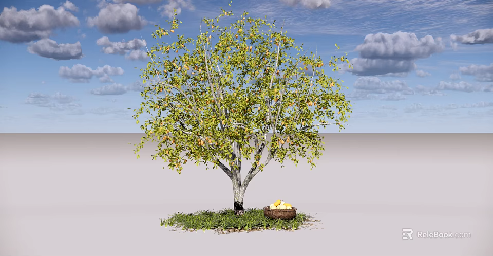 Arbor with Green Leaves Gray Trunk Basket of Yellow Fruits on Grass Under Blue Sky 3d model 