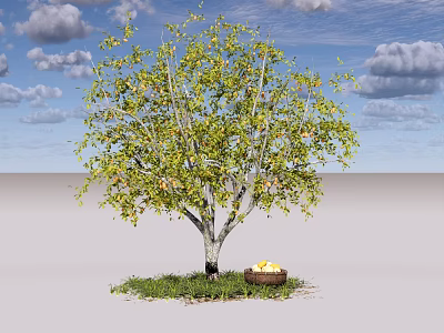 Arbor with Green Leaves Gray Trunk Basket of Yellow Fruits on Grass Under Blue Sky 3d model