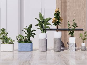 modern potted plant potted plant 3d model