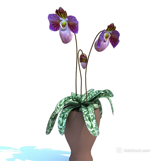 Beautiful Bonsai Potted Plant with Purple Flowers and Spotted Green Leaves in Brown Pot 3d model 