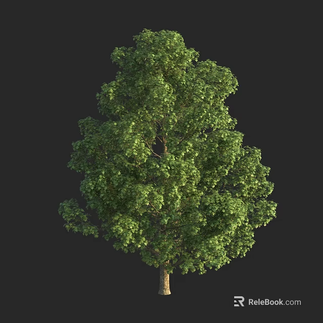 Lush Arbor With Dense Green Foliage And Strong Trunk In Natural Landscape 3d model 