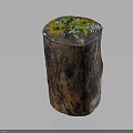 Wood And Stone Decorative Tree Stump With Green Moss Small Plants And Natural Elements