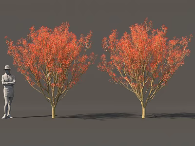Two Red Leaved Ornamental Shrubs with Human Figure for Scale in Landscaping 3d model