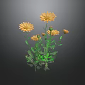 Several Yellow Flowers With Green Stems And Leaves On Dark Background