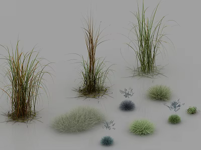 grass grass grass grass grass flowers weeds grass plants turf 3d model