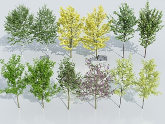 Landscape Trees Street Trees Courtyard Landscape Trees Arbor 3d model