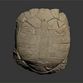 Turtle shell Han turtle shell turtle cartoon turtle snapping turtle hawksbill reptile cold-blooded animal 3d model