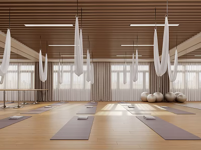 Yoga Studio Equipped With Mats Aerial Hammocks And Exercise Balls 3d model