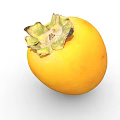 Whole Ripe Yellow Persimmon Fruit with Green Calyx on White Background