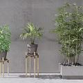 Modern potted plant flowerpot combination 3d model