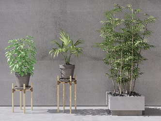 Modern potted plant flowerpot combination 3d model