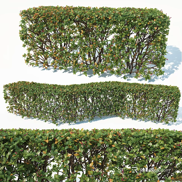 Well Trimmed Garden Shrubs With Lush Green Foliage Varied Heights And Different Shapes 3d model 