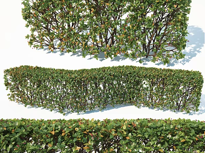 Well Trimmed Garden Shrubs With Lush Green Foliage Varied Heights And Different Shapes 3d model