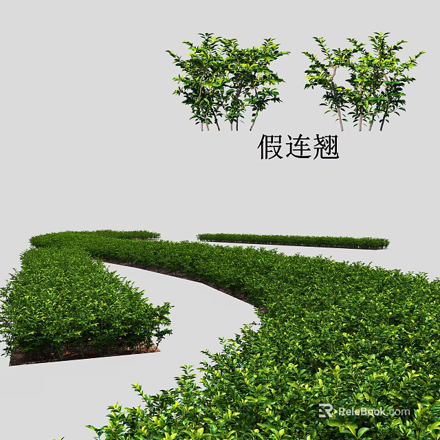 Duranta Shrubs Well Trimmed As Landscape Hedge For Garden Greenery Design 3d model 
