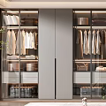 Modern Wardrobe Interior Design With Glass Doors Hanging Clothes And Storage Drawers
