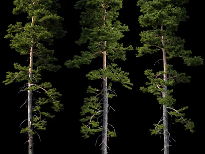 Tree 3d model