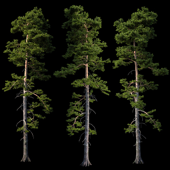 Tree 3d model