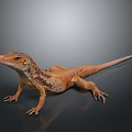 Detailed Brown Orange Spotted Lizard Standing On Shiny Dark Reflective Surface 3d model