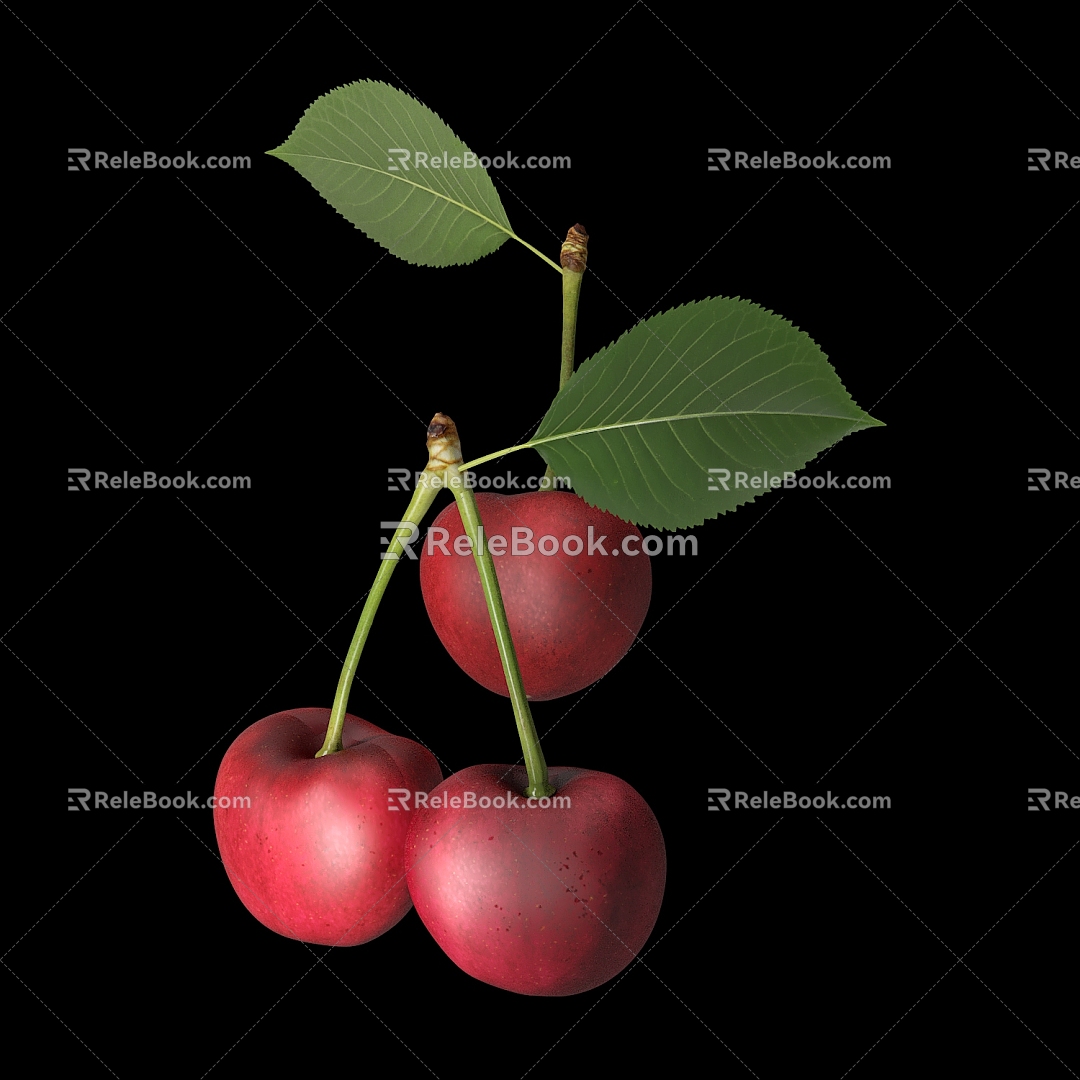 Cherry Cherry 3d model