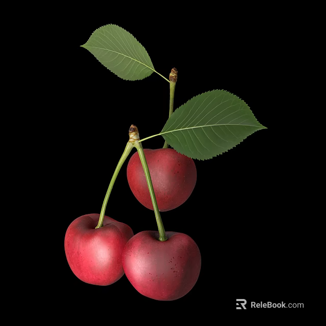 Ripe Juicy Red Cherries With Fresh Green Leaves Isolated On Black Background 3d model 