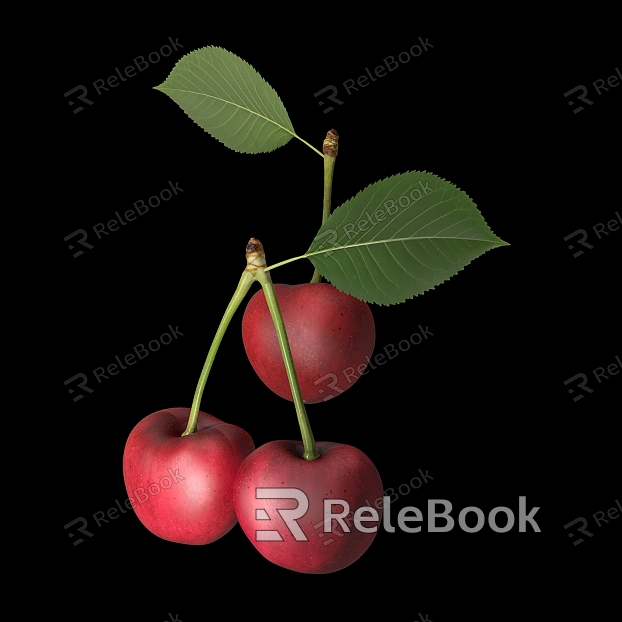 Cherry Cherry model