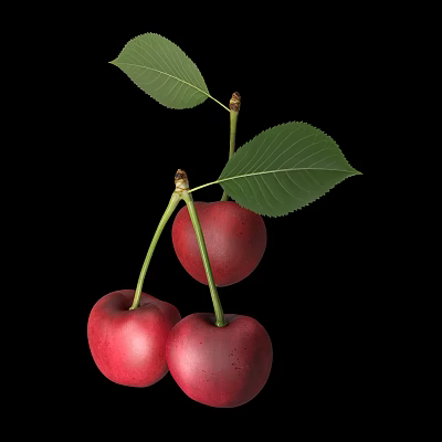 Ripe Juicy Red Cherries With Fresh Green Leaves Isolated On Black Background 3d model Ripe Juicy Red Cherries With Fresh Green Leaves Isolated On Black Background 3d model