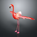 Graceful Red Flamingo Standing With Spread Wings Against Black Background