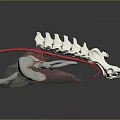 3D Rendered Medical Device Displaying Heart Skeletal Structure With Red Blood Vessels