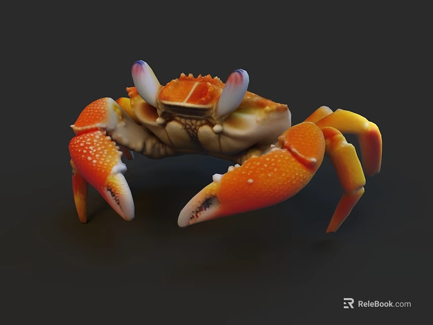 3D Rendered Aquatic Animal Colorful Orange White Crab With Blue Eyes On Dark Background 3d model 
