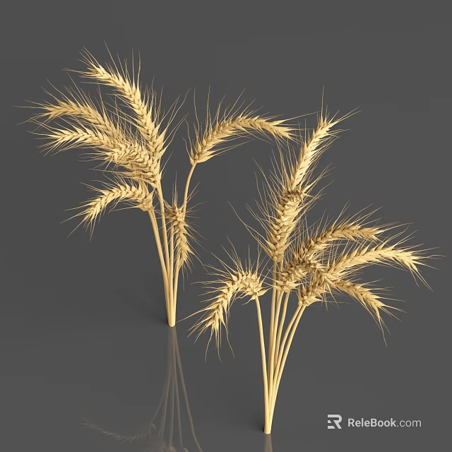 Golden Wheat Crop With Healthy Ears And Natural Growth In Farmland 3d model 