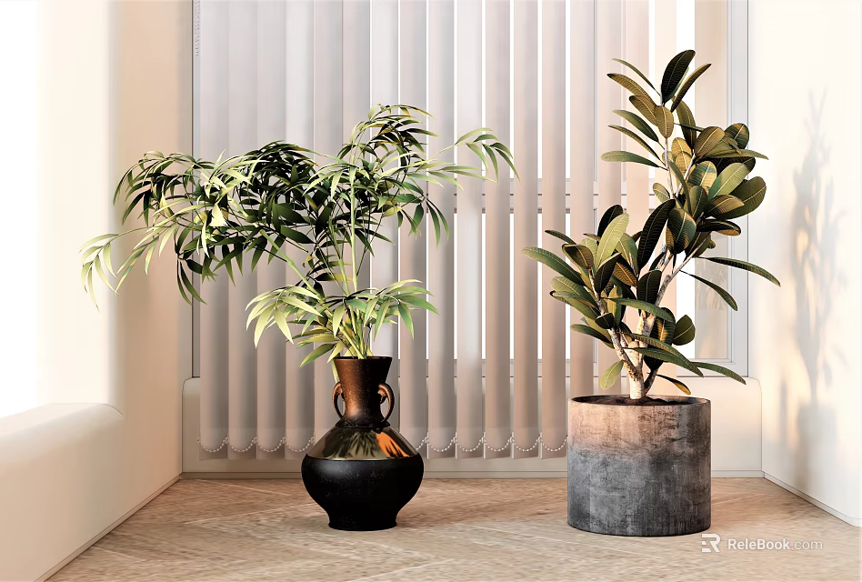 Bonsai Potted Plants Long Leaves Broad Foliage Black Vase Gray Pot Bright Room White Blinds 3d model 