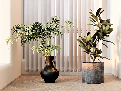 Bonsai Potted Plants Long Leaves Broad Foliage Black Vase Gray Pot Bright Room White Blinds 3d model