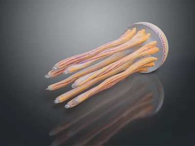 Vibrant Jellyfish With Transparent Body And Colorful Striped Tentacles In Marine Habitat 3d model