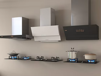 Range hood gas stove 3d model