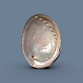 Iridescent Seashell Food Serving Dish With Shiny Surface And Decorative Design