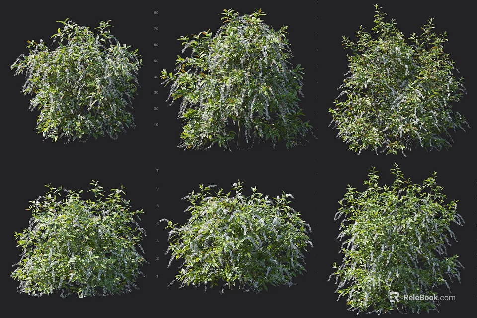 Lush Green Shrubs Displaying Diverse Foliage Densities And Natural Growth Stages 3d model 