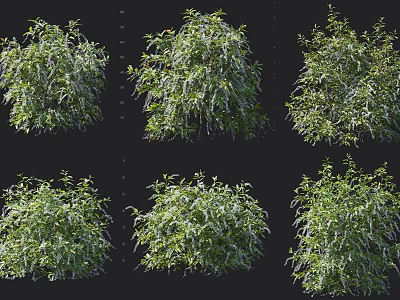 Lush Green Shrubs Displaying Diverse Foliage Densities And Natural Growth Stages 3d model