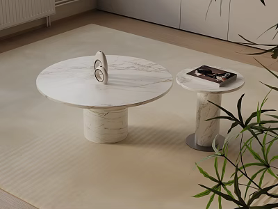 Modern Sofa Coffee Table Set With Round Marble Tops And Green Plant On Light Carpet 3d model