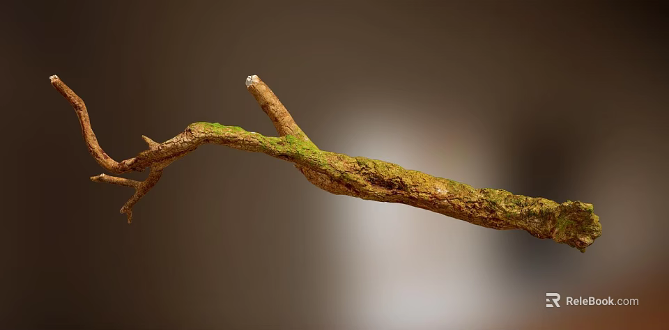 Natural Stone and Wood Branch with Green Moss and Organic Texture 3d model 