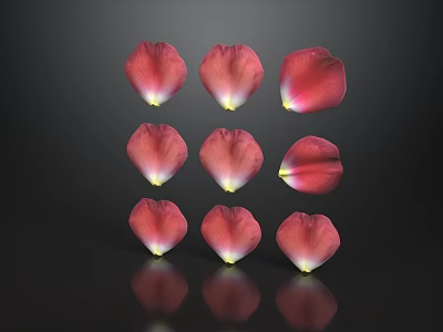 Pink Petals Arranged in Three Rows and Three Columns on Black Background With Reflections 3d model