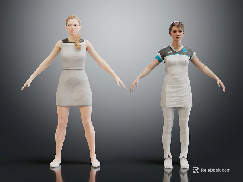 Two Female Characters In Gray Dresses With Outstretched Arms And Different Sleeve Details 3d model 