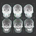 Six Human Skulls Arranged in Grid with Varied Bone Shades 3d model