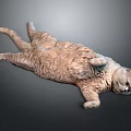 Relaxed Fluffy Orange Cat Lying Comfortably on Gray Background Surface