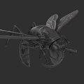 Detailed Black Flying Insect With Transparent Wings And Long Legs