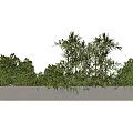 Lush Green Bonsai Potted Plants In White Rectangular Planter With Bamboo And Shrubs